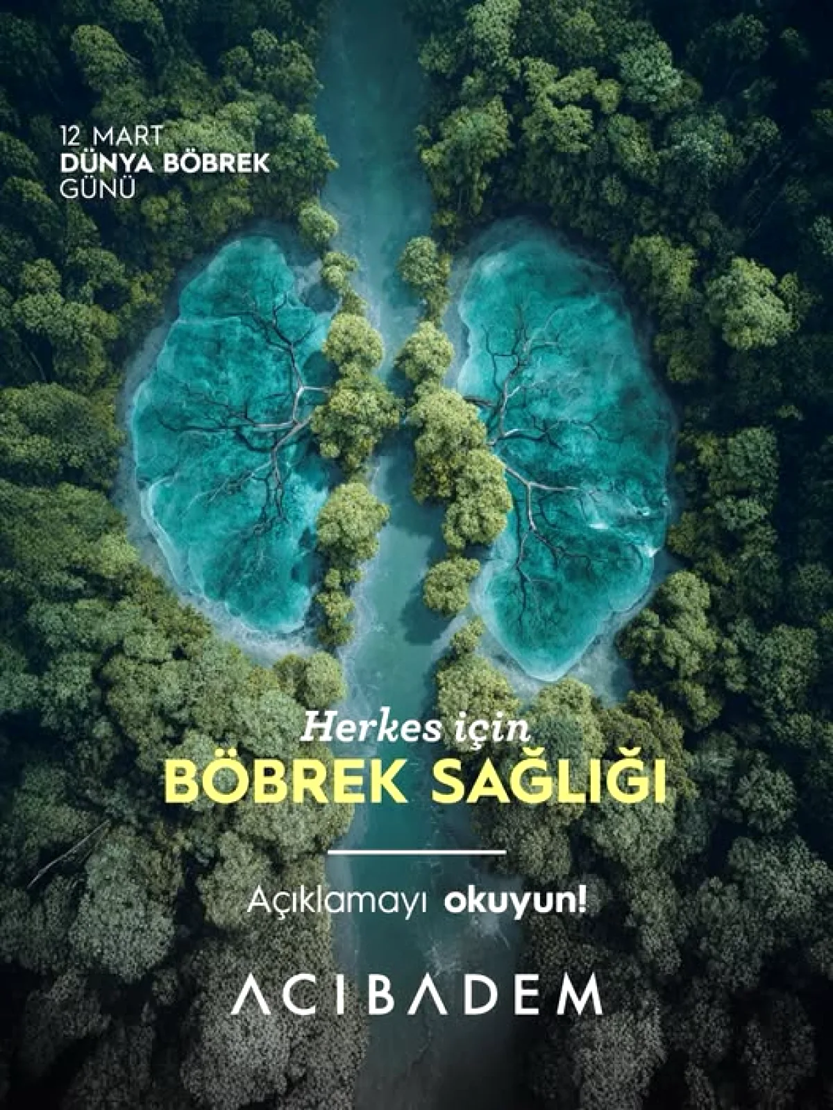 Beyin Cerrahına Gelecek Vadeden Önemli Ödül Beyin Cerrahına Gelecek Vadeden Önemli Ödül