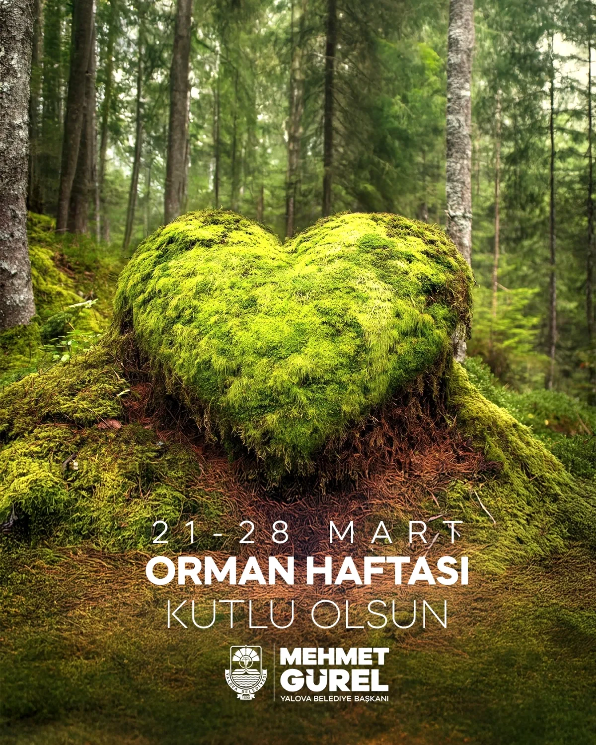 Yalova'da Orman Haftası İçin Hangi Söz Verildi? Yalova'da Orman Haftası İçin Hangi Söz Verildi?