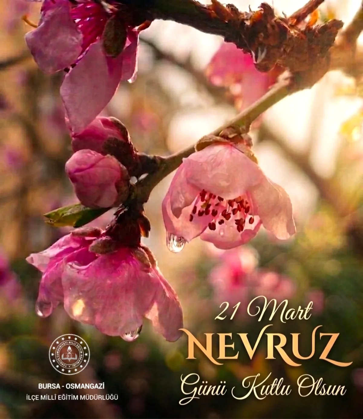 Osmangazi İlçe Milli Eğitim'den Nevruz Mesajı Osmangazi İlçe Milli Eğitim'den Nevruz Mesajı