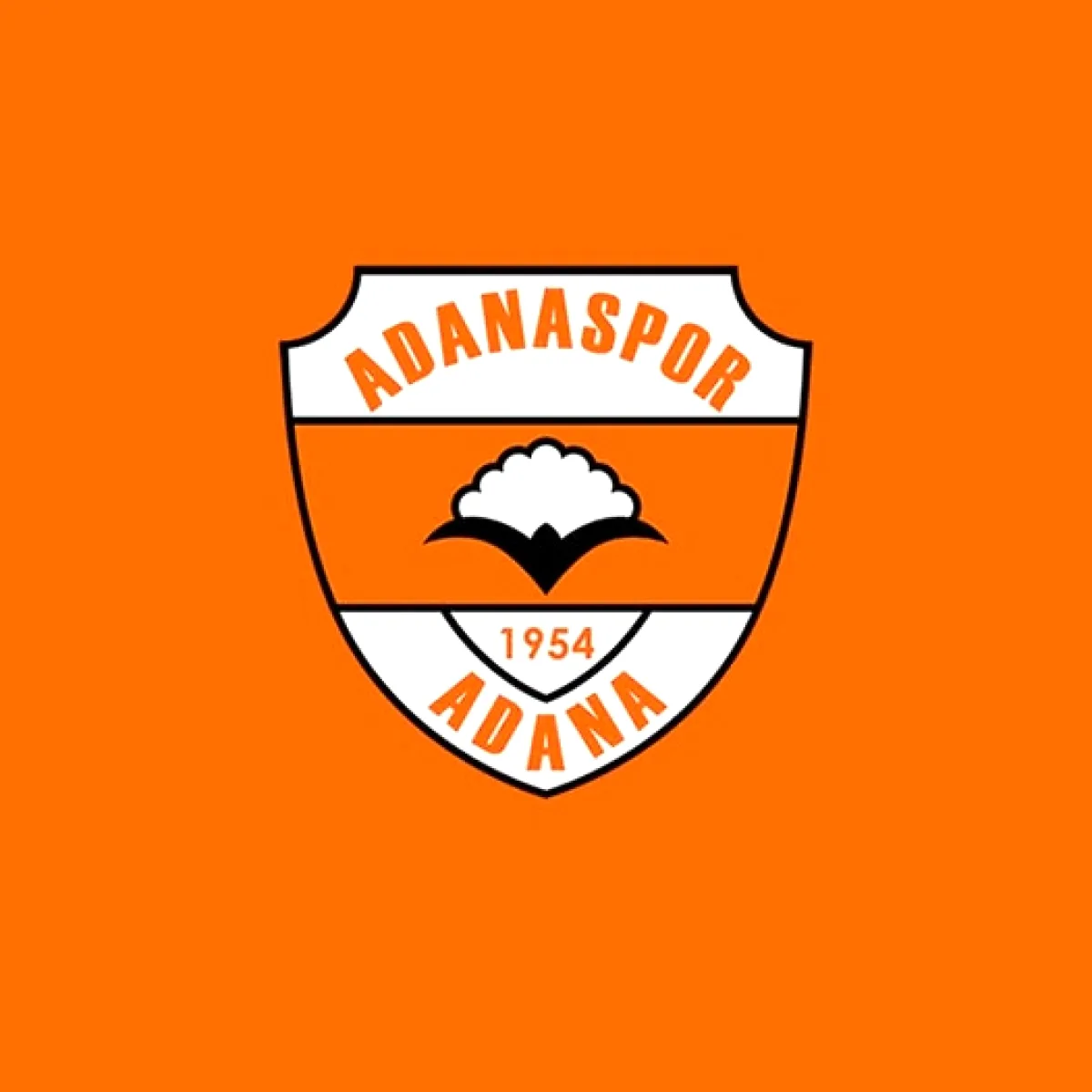 Adanaspor'dan Başarı Konusunda Net Mesaj Adanaspor'dan Başarı Konusunda Net Mesaj