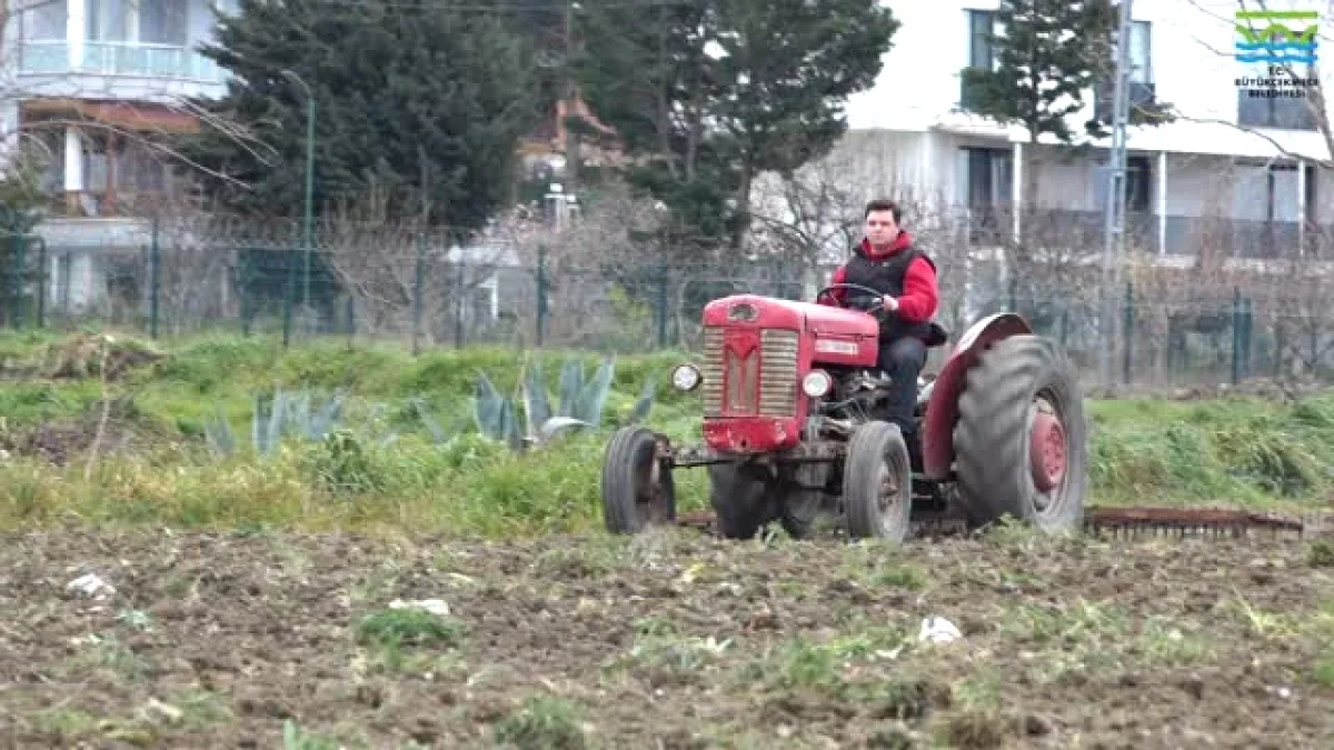 Büyükçekmece'de Boş Alanlar Bereketleniyor Büyükçekmece'de Boş Alanlar Bereketleniyor