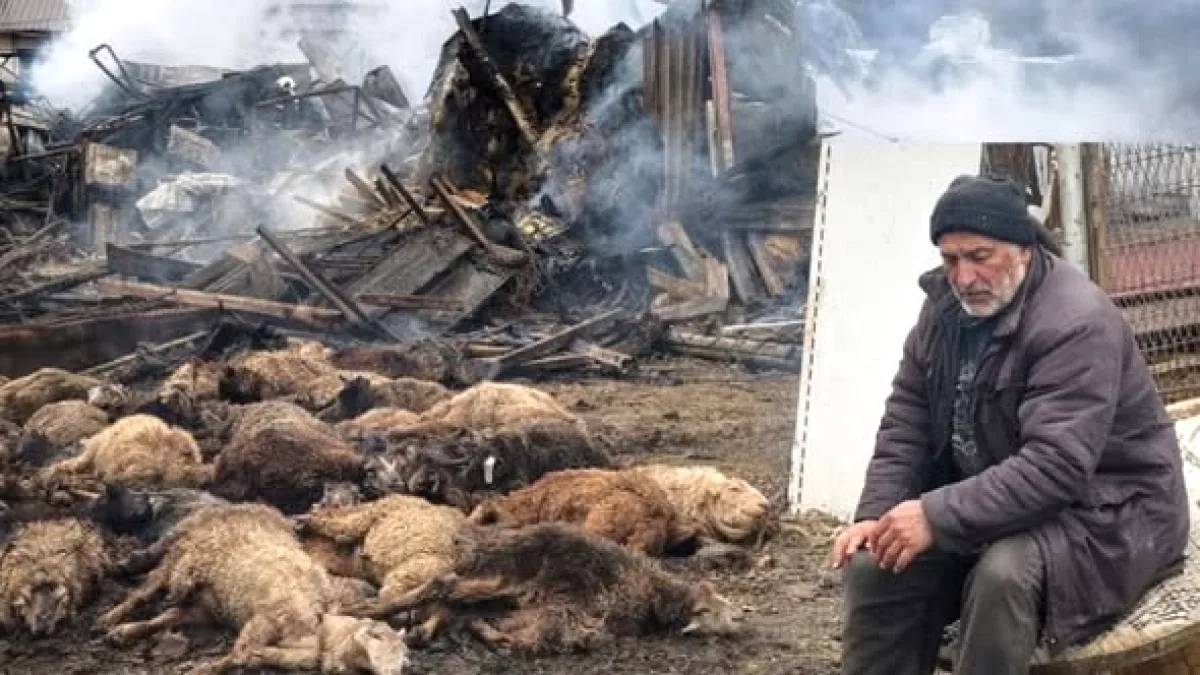 Dilovası'ndaki Yangın Sonrası Sert Eleştiri: 'Bu Sadece Bir Yangın Değil' Dilovası'ndaki Yangın Sonrası Sert Eleştiri: 'Bu Sadece Bir Yangın Değil'