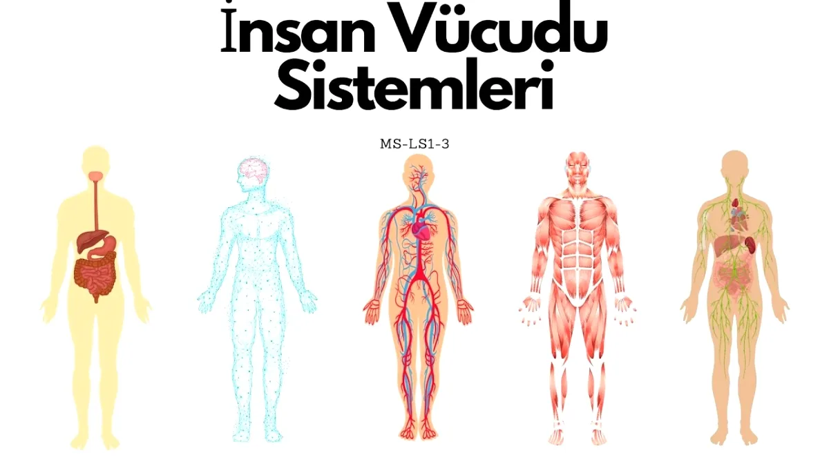 Süper Uygulamalar Yerini Biyo-Adaptif Sistemlere Bırakıyor Süper Uygulamalar Yerini Biyo-Adaptif Sistemlere Bırakıyor