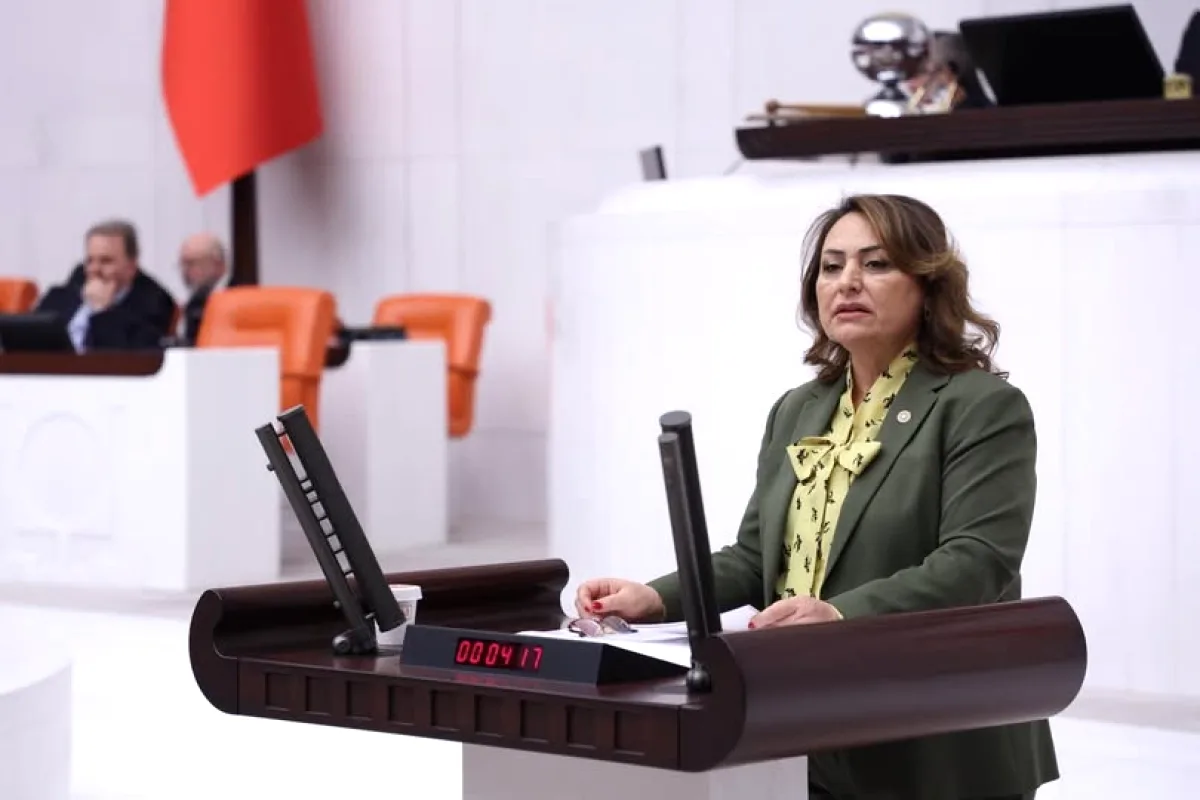 CHP'li Şevkin'den Bakan Çiftçi'ye: Zeydan Karalar Neden Göreve İade Edilmiyor? CHP'li Şevkin'den Bakan Çiftçi'ye: Zeydan Karalar Neden Göreve İade Edilmiyor?