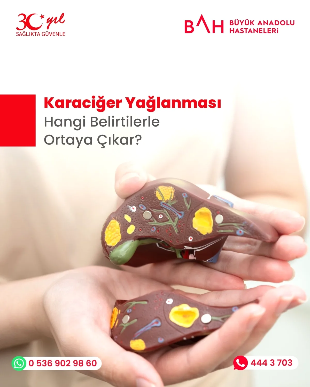 Darıca'dan Uzman Uyarısı: Karaciğer Yağlanmasının Sinsi İşaretlerini Tanıyın Darıca'dan Uzman Uyarısı: Karaciğer Yağlanmasının Sinsi İşaretlerini Tanıyın