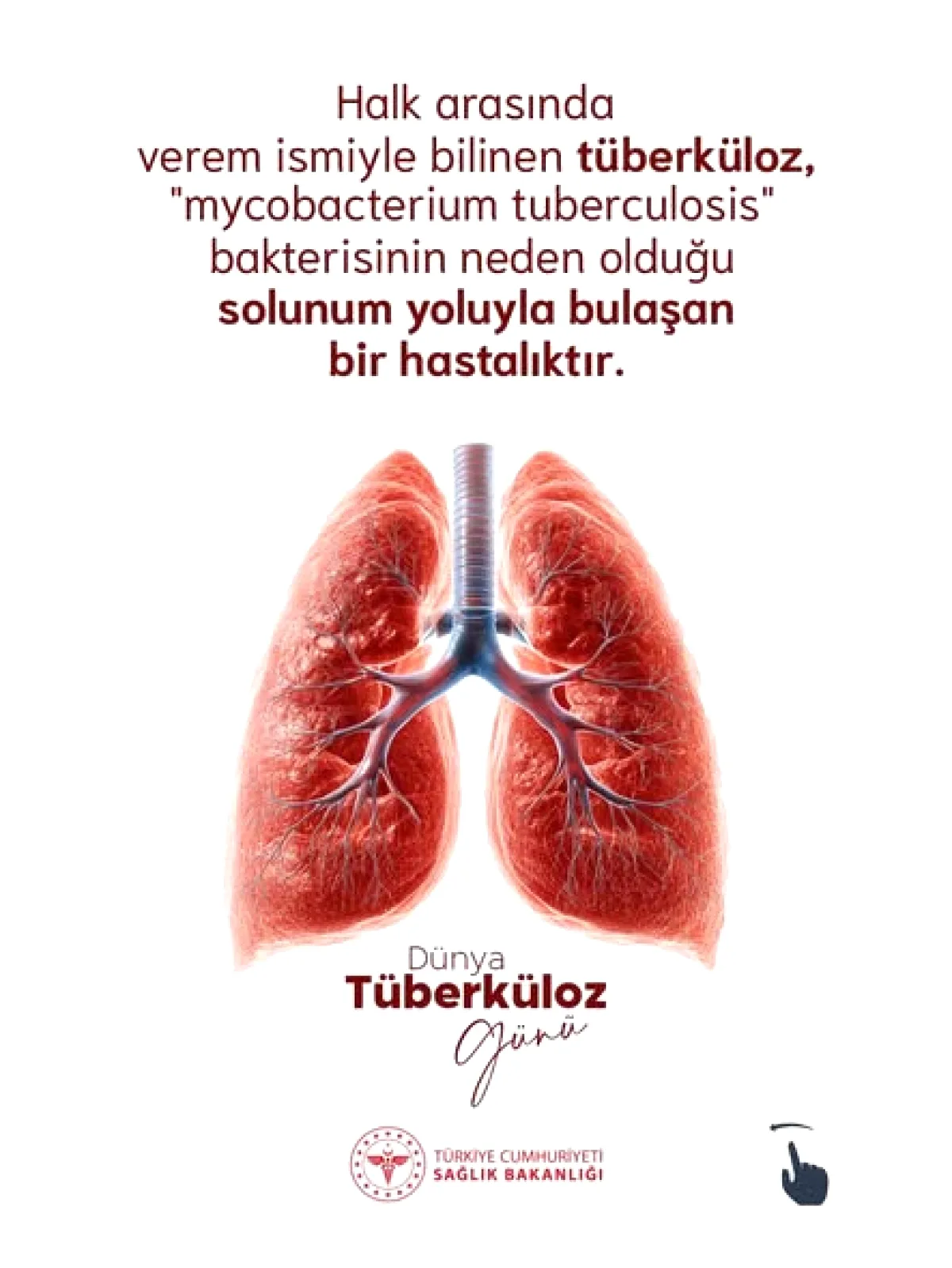 Çukurova Devlet Hastanesi'nden Tüberküloz (Verem) Bilgilendirmesi Çukurova Devlet Hastanesi'nden Tüberküloz (Verem) Bilgilendirmesi