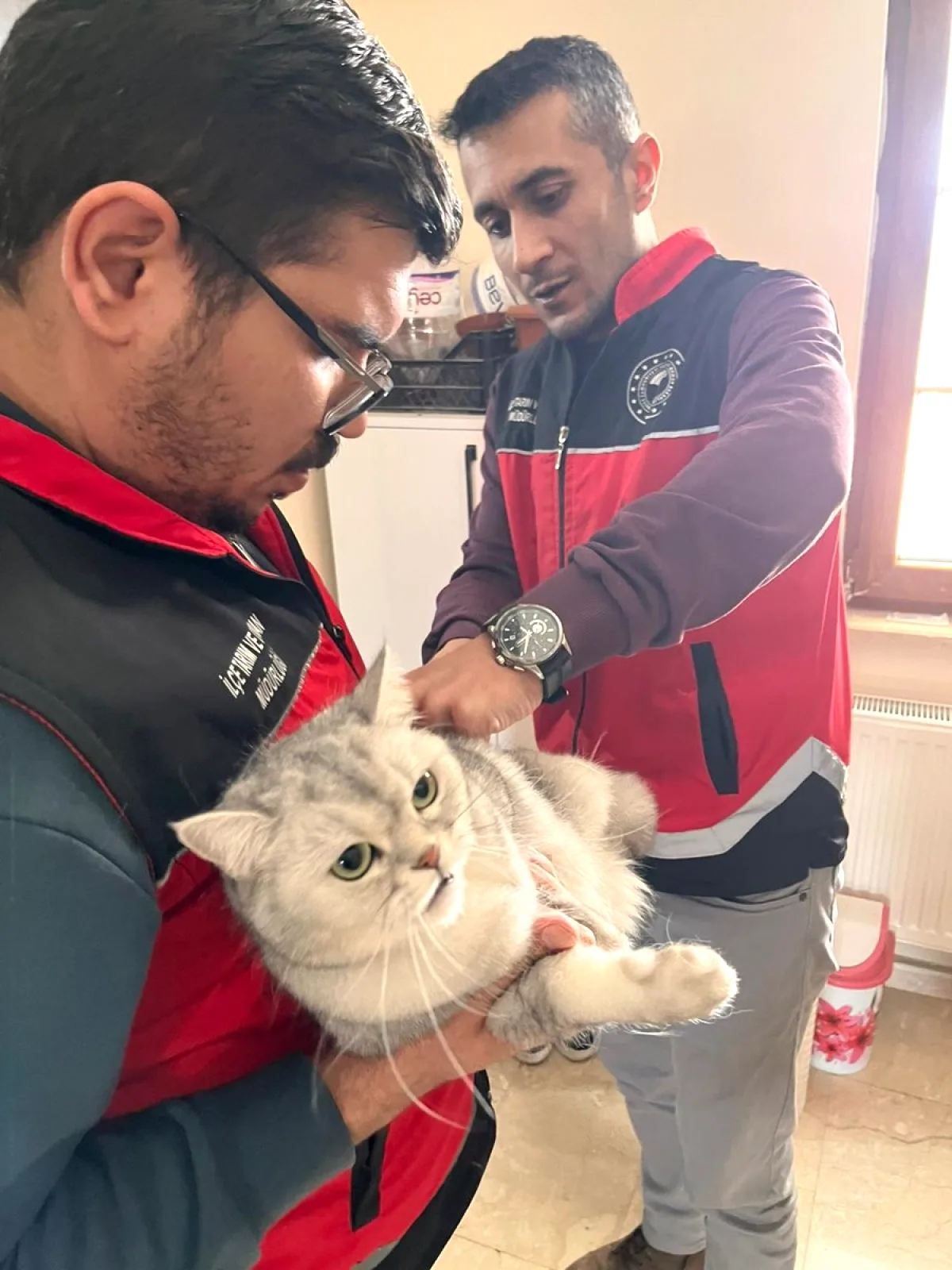 Konya Yalıhüyük'te Evcil Hayvanlar Kuduza Karşı Aşılandı Konya Yalıhüyük'te Evcil Hayvanlar Kuduza Karşı Aşılandı