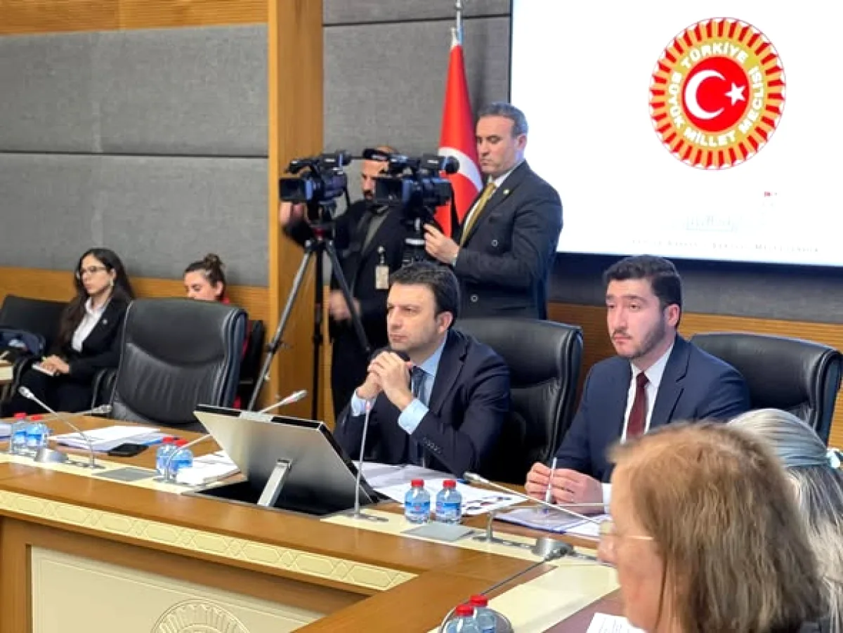 Çocukları Suçtan Korumak İçin TBMM'de Kritik Toplantı: Savcı ve Akademisyenler Dinlendi Çocukları Suçtan Korumak İçin TBMM'de Kritik Toplantı: Savcı ve Akademisyenler Dinlendi