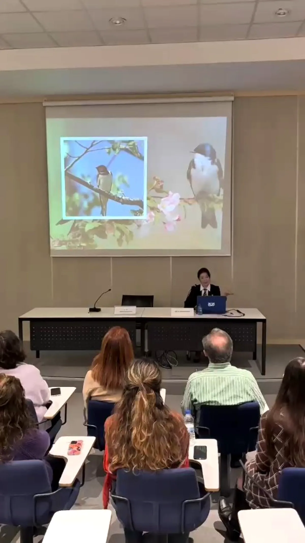 MSGSÜ'de Nevruz'un Akademik İncelenmesi: Doç. Dr. Shurubu Kayhan "Yeni Gün" Konferansına Katıldı MSGSÜ'de Nevruz'un Akademik İncelenmesi: Doç. Dr. Shurubu Kayhan "Yeni Gün" Konferansına Katıldı