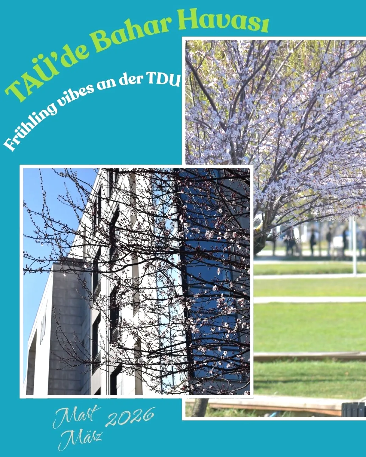 TAÜ'de Bahar Havası | Frühling Vibes an der TDU TAÜ'de Bahar Havası | Frühling Vibes an der TDU
