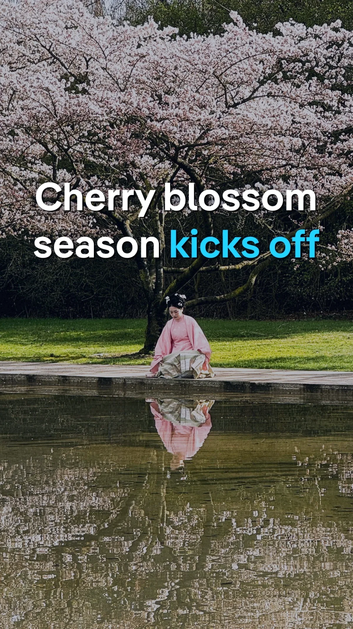 Cherry Blossom Season: Where to See Sakura from Japan to Italy Cherry Blossom Season: Where to See Sakura from Japan to Italy