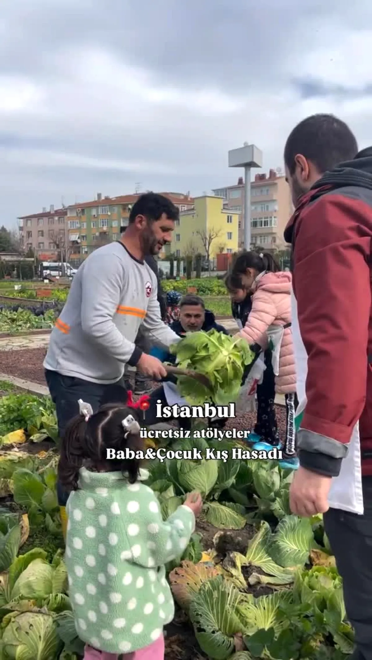 İstanbul Fatih Belediyesi Yedikule Bahçe'de Ailece Bereket Toplama Etkinliği Düzenledi İstanbul Fatih Belediyesi Yedikule Bahçe'de Ailece Bereket Toplama Etkinliği Düzenledi