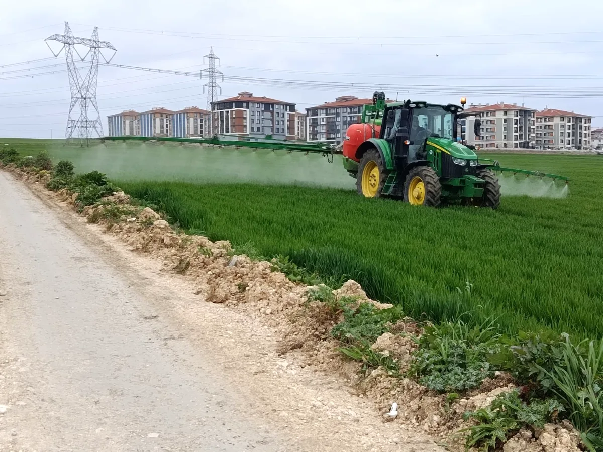 Silivri'de Buğday Ekili Alanlarda Kökboğaz Hastalığına Karşı İlaçlama Yapıldı Silivri'de Buğday Ekili Alanlarda Kökboğaz Hastalığına Karşı İlaçlama Yapıldı