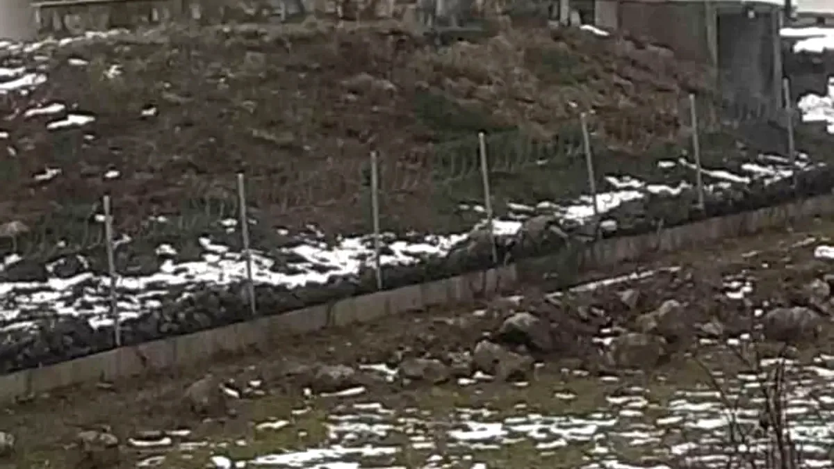 Sakarya'da Göç Yolculuğundaki Leylekler Dikmen'de Dinlendi Sakarya'da Göç Yolculuğundaki Leylekler Dikmen'de Dinlendi