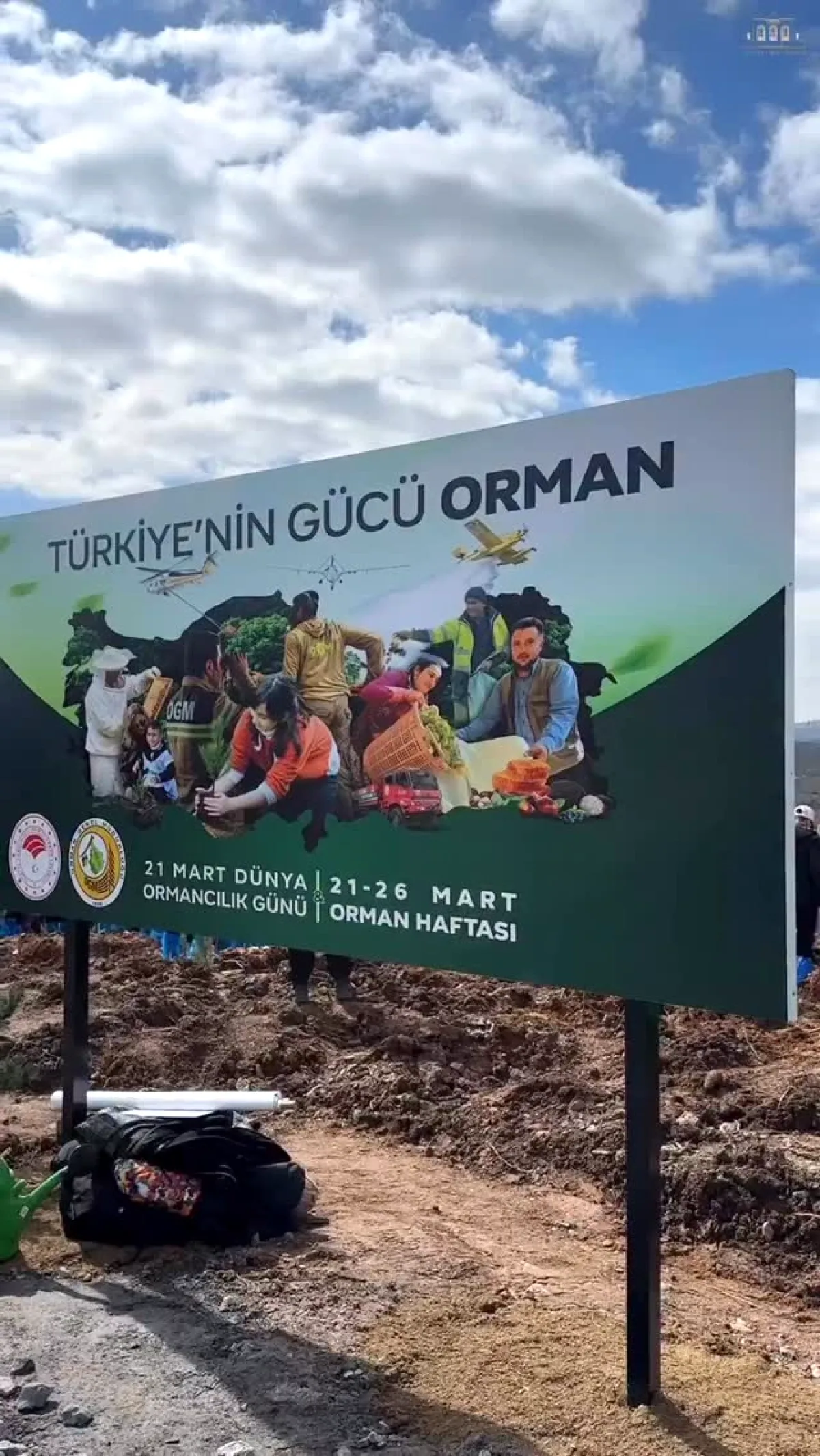 Çekmeköy'de 22 Bin Fidan Toprakla Buluştu: Vali Gül, "Türkiye'nin Gücü Orman" Dedi Çekmeköy'de 22 Bin Fidan Toprakla Buluştu: Vali Gül, "Türkiye'nin Gücü Orman" Dedi