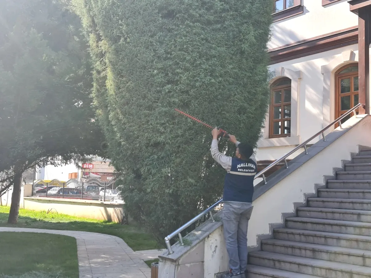 Nallıhan'da Bahar Temizliği: Belediye Binasının Bahçesi İçin Çalışmalar Devam Ediyor Nallıhan'da Bahar Temizliği: Belediye Binasının Bahçesi İçin Çalışmalar Devam Ediyor