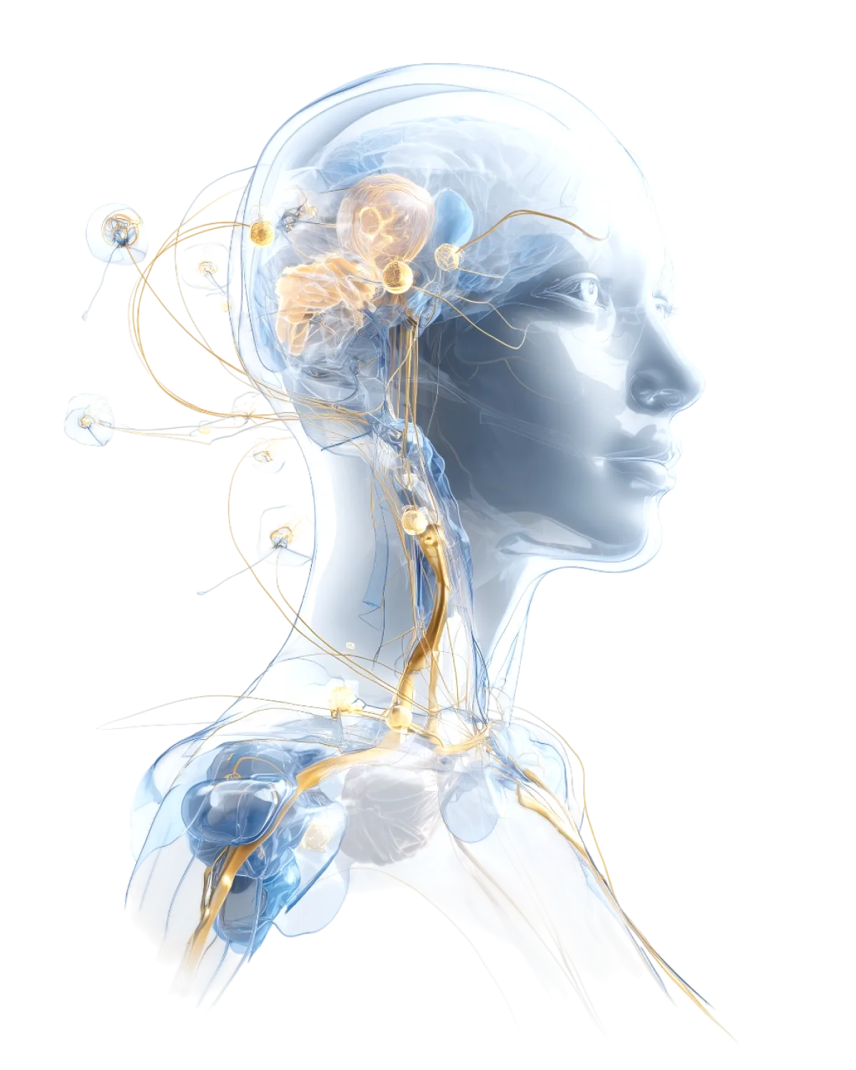 Neural Lace Teknolojisi ve Kolektif Bellek Üzerindeki Etkileri Neural Lace Teknolojisi ve Kolektif Bellek Üzerindeki Etkileri