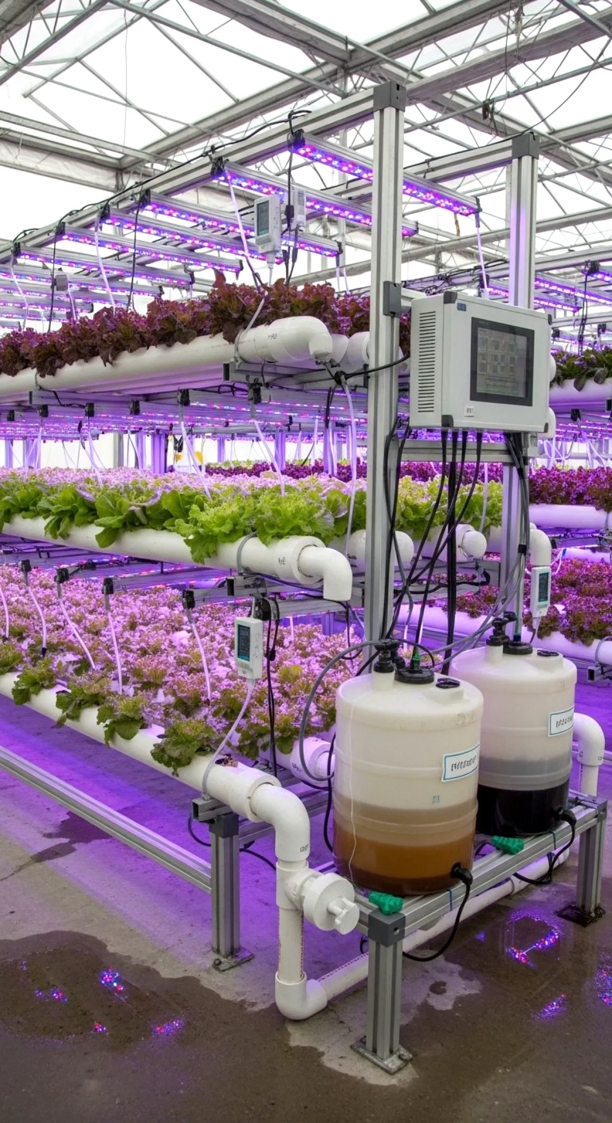 2026 Tarım Devrimi: CRISPR ve Hava Bitkileri Seraları Değiştiriyor 2026 Tarım Devrimi: CRISPR ve Hava Bitkileri Seraları Değiştiriyor