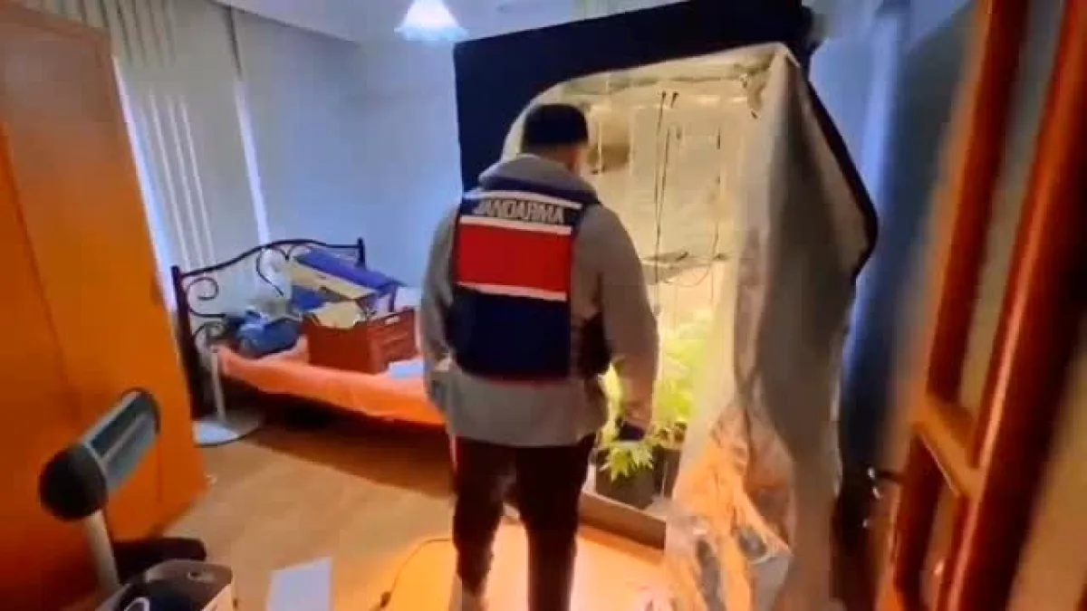 Yalova'da Kenevir Çiftliği: 7 Bitki ve Kokain Bulundu! Yalova'da Kenevir Çiftliği: 7 Bitki ve Kokain Bulundu!
