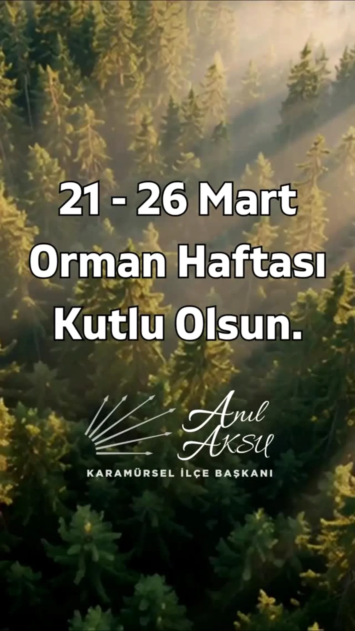 Karamürsel'de Orman Haftası: Yangının Ardından Doğanın Yenilenme Mesajı Karamürsel'de Orman Haftası: Yangının Ardından Doğanın Yenilenme Mesajı