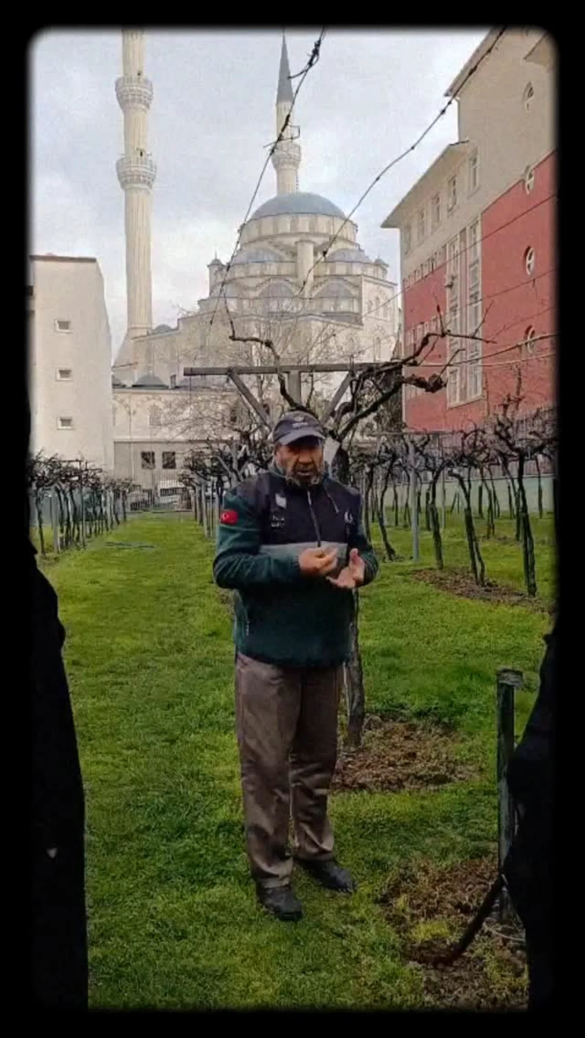 Bağcılar'da Orman Haftası: Üzüm Bağlarında Bitki Bakımı Bağcılar'da Orman Haftası: Üzüm Bağlarında Bitki Bakımı