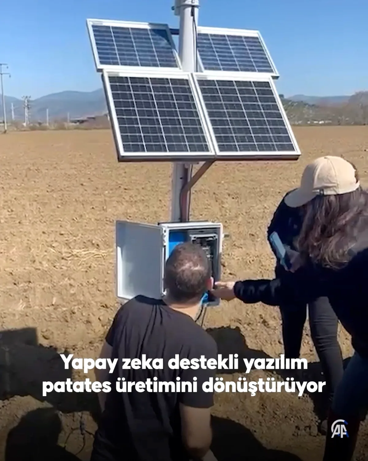 Yapay Zeka ile Patates Verimi Katlandı Yapay Zeka ile Patates Verimi Katlandı