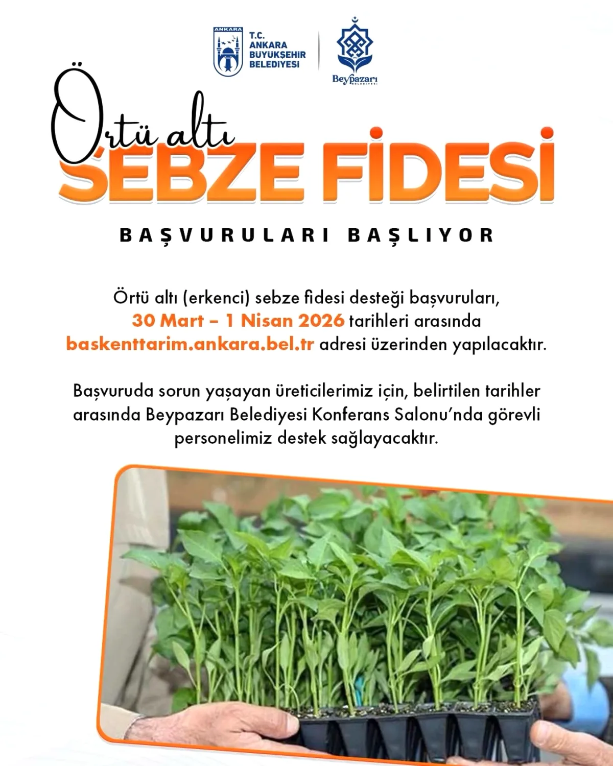 Beypazarı'nda Fide Desteği Başvuruları 30 Mart'ta Başlıyor Beypazarı'nda Fide Desteği Başvuruları 30 Mart'ta Başlıyor