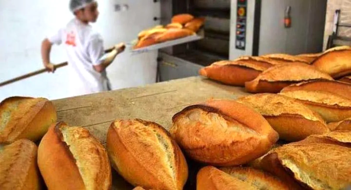 Kocaeli'de Ekmek 1 Nisan'da 20 TL'ye Çıkıyor: CHP'den "Ekonomik Baskı" Tepkisi Kocaeli'de Ekmek 1 Nisan'da 20 TL'ye Çıkıyor: CHP'den "Ekonomik Baskı" Tepkisi