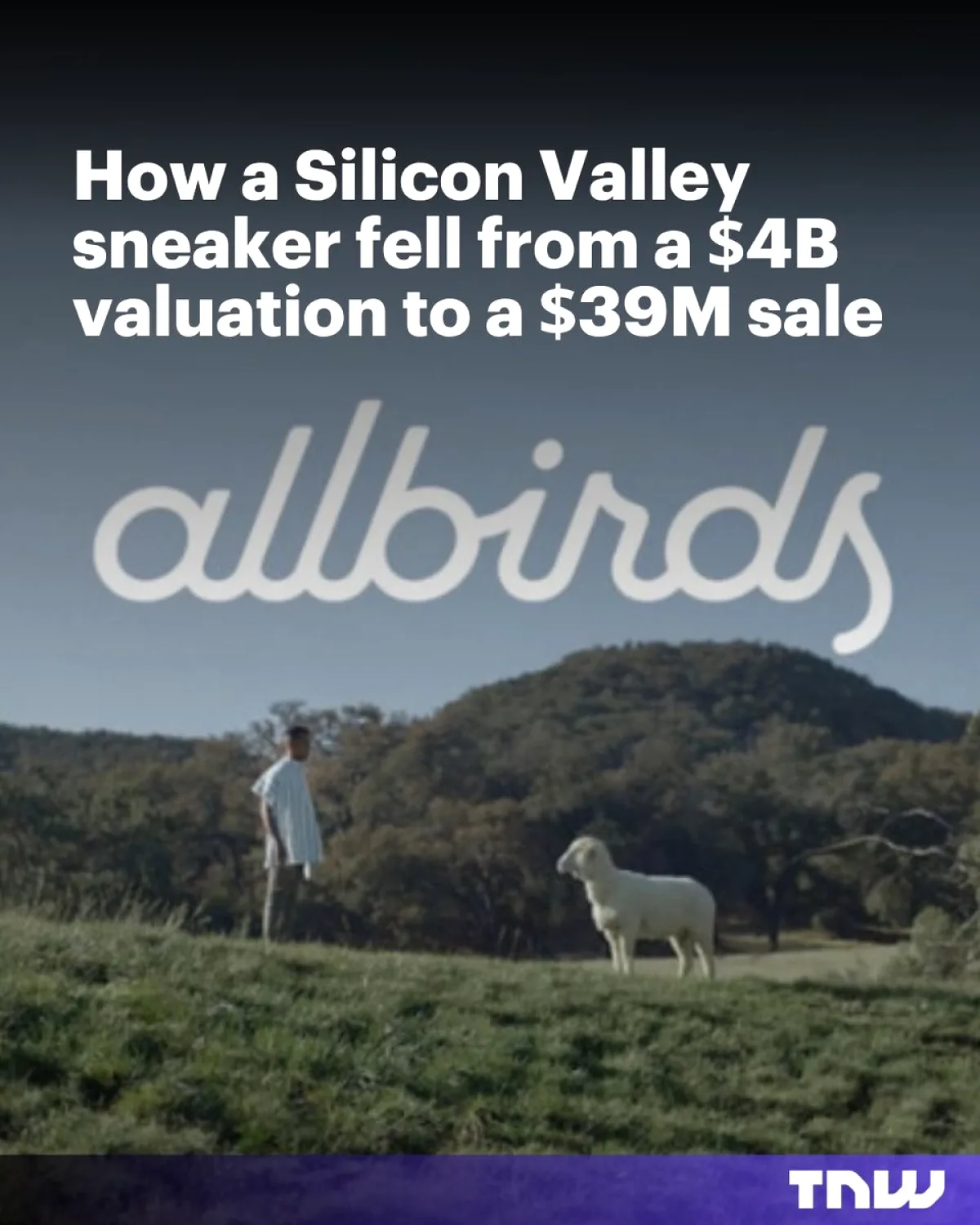 Allbirds Neden 4 Milyar Dolardan Düştü? Genişleme Hatası Allbirds Neden 4 Milyar Dolardan Düştü? Genişleme Hatası