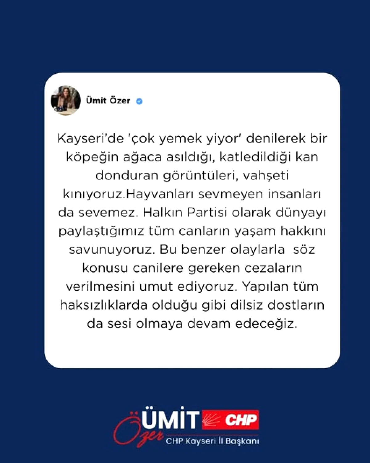 Kayseri'de Köpek Katliamı: "Çok Yemek Yiyor" Denilerek Ağaca Asıldı Kayseri'de Köpek Katliamı: "Çok Yemek Yiyor" Denilerek Ağaca Asıldı