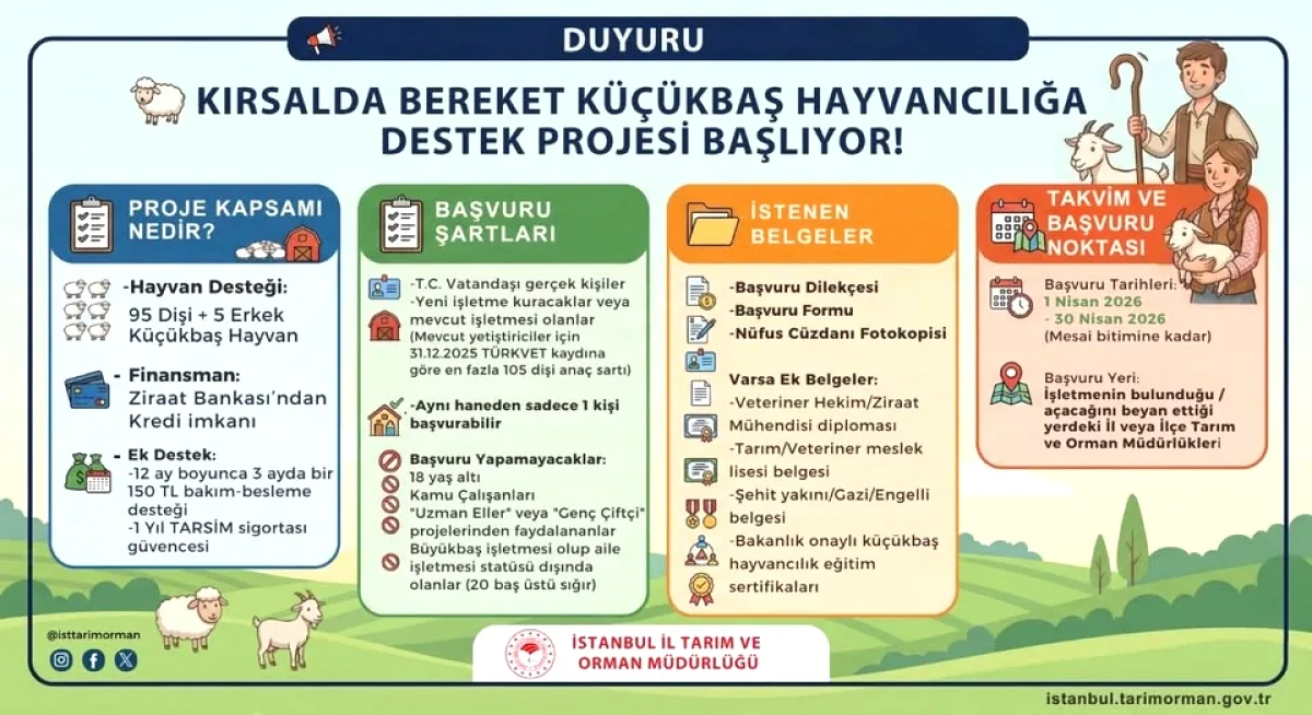 İstanbul'da Küçükbaş Hayvan Desteği! Başvurular Başladı – 30 Nisan'a Kadar İstanbul'da Küçükbaş Hayvan Desteği! Başvurular Başladı – 30 Nisan'a Kadar