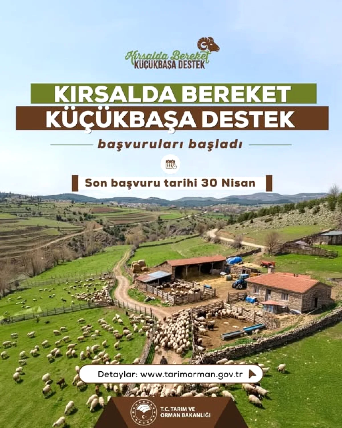 İstanbul'da Küçükbaş Hayvancılık Desteği! Başvurular Başladı İstanbul'da Küçükbaş Hayvancılık Desteği! Başvurular Başladı