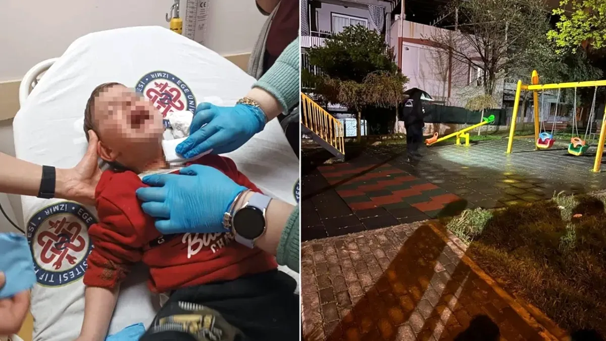 İzmir'de 2 Yaşındaki Çocuğa Bıçaklı Saldırı: Şüpheli Yakalandı İzmir'de 2 Yaşındaki Çocuğa Bıçaklı Saldırı: Şüpheli Yakalandı