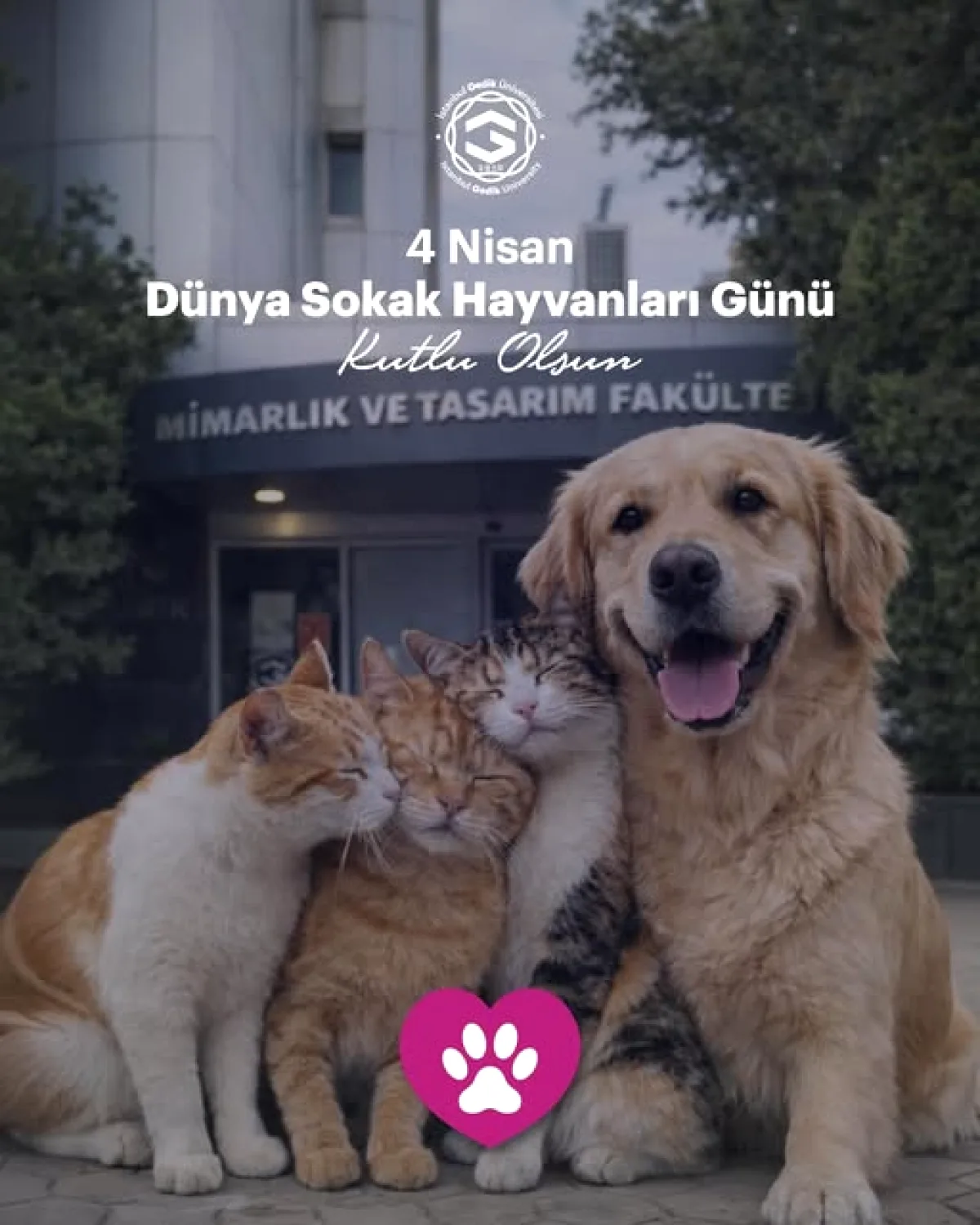 İstanbul Gedik Üniversitesi'nden Sokak Hayvanları Günü Mesajı İstanbul Gedik Üniversitesi'nden Sokak Hayvanları Günü Mesajı