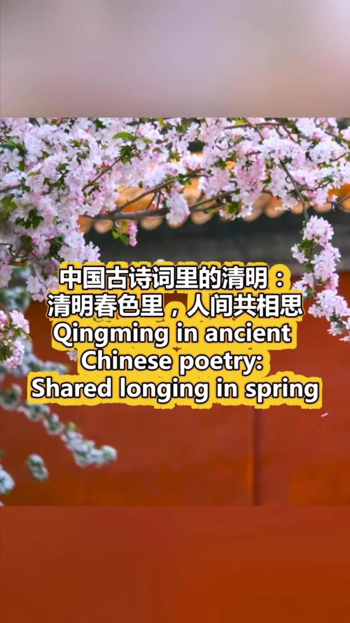 ChinaCulture'den Qingming Paylaşımı: Antik Şiirlerde Baharın Çağrısı ChinaCulture'den Qingming Paylaşımı: Antik Şiirlerde Baharın Çağrısı