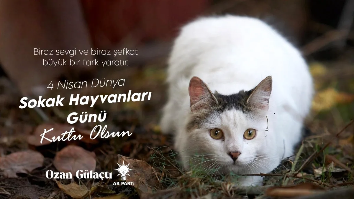 Adana'da Sokak Hayvanları İçin Duyarlılık Çağrısı Adana'da Sokak Hayvanları İçin Duyarlılık Çağrısı