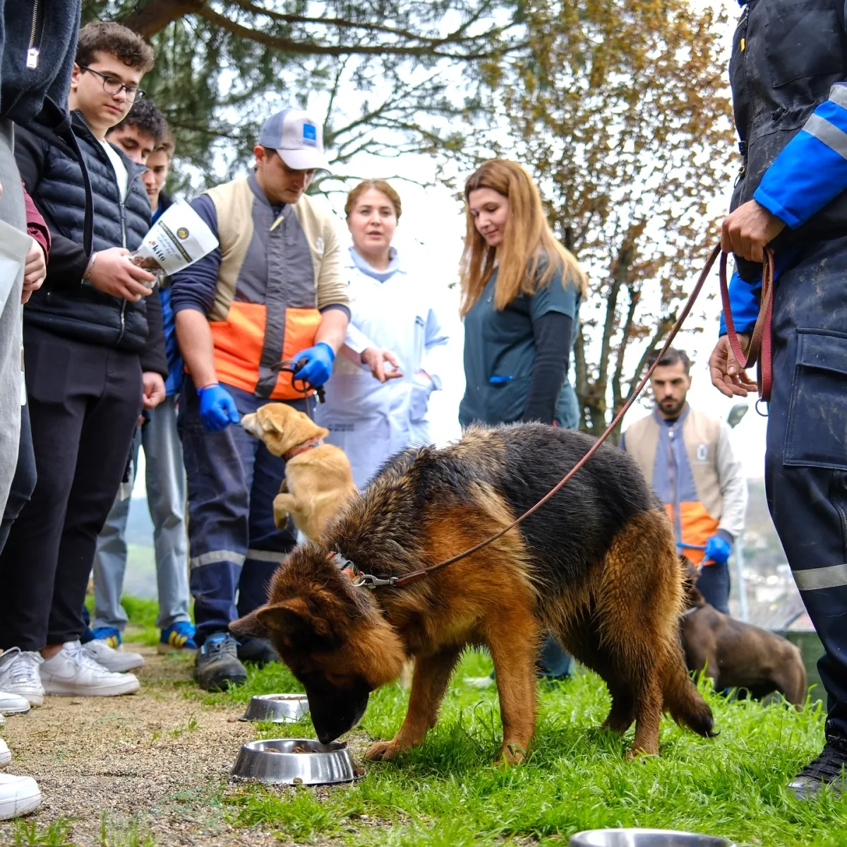 Fenerbahçe'den Üsküdar Barınağı'na Mama Bağışı Fenerbahçe'den Üsküdar Barınağı'na Mama Bağışı