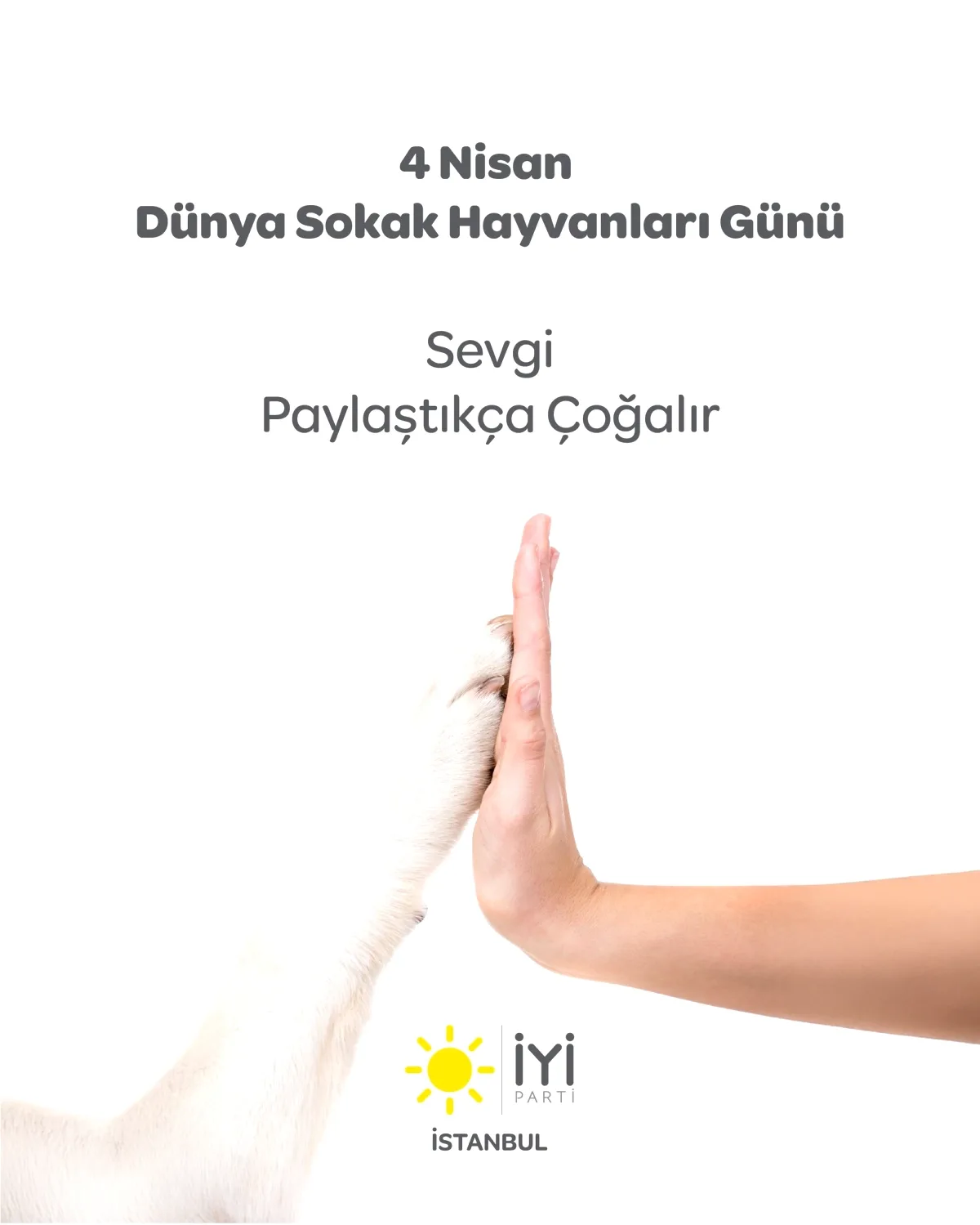 İYİ Parti İstanbul'dan Sokak Hayvanları İçin Yaşam Hakkı Çağrısı İYİ Parti İstanbul'dan Sokak Hayvanları İçin Yaşam Hakkı Çağrısı