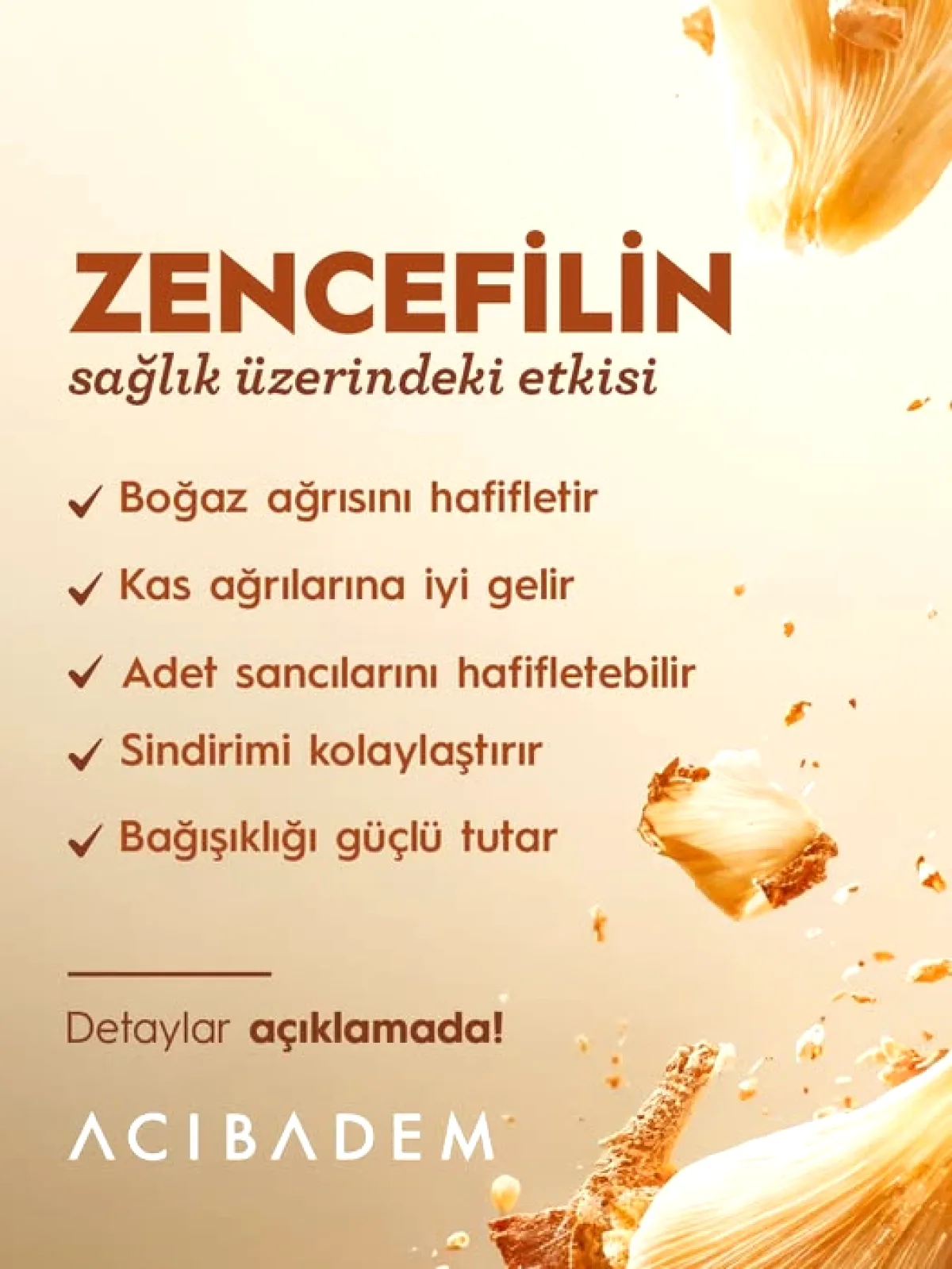 Zencefilin Sağlık Faydaları ve Aktif Bileşenleri Zencefilin Sağlık Faydaları ve Aktif Bileşenleri