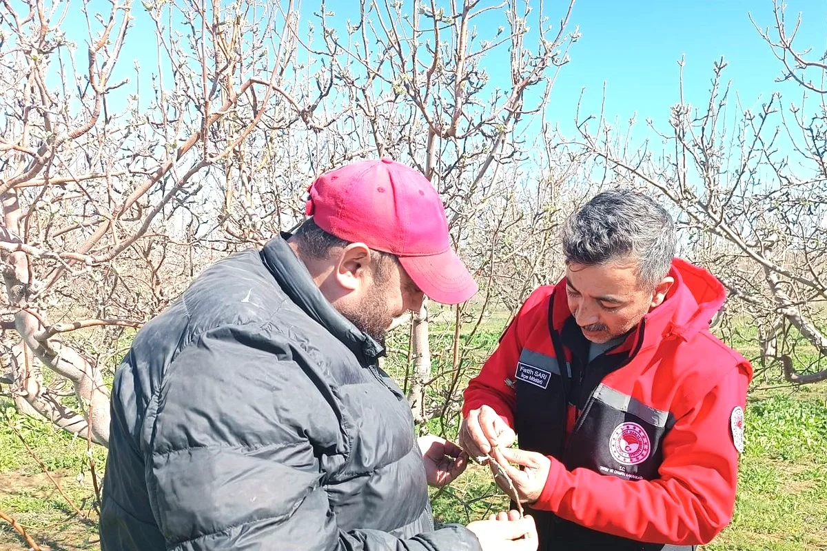 Afyonkarahisar'da Don Riski: Çiftçilere Kritik Önlem Uyarıları Afyonkarahisar'da Don Riski: Çiftçilere Kritik Önlem Uyarıları