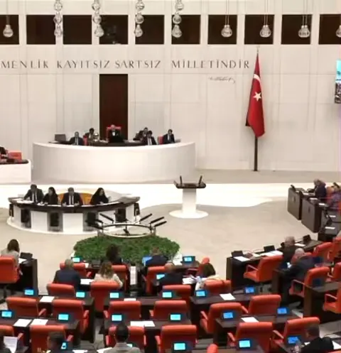Şevkin'den Acil Çağrı: Kadın ve Çocuk Cinayetleri Durmuyor, İstanbul Sözleşmesi Şart