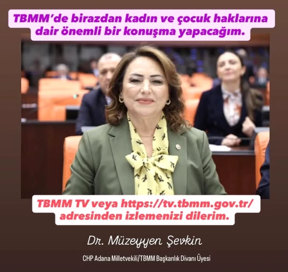 CHP'li Şevkin TBMM'de Kadın ve Çocuk Hakları Konuşması Yapacak CHP'li Şevkin TBMM'de Kadın ve Çocuk Hakları Konuşması Yapacak