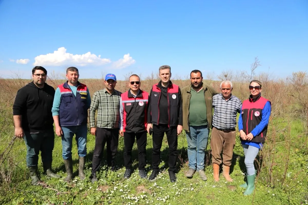 Mustafakemalpaşa'da Mera Islahı İçin İlk Adım: 150 Dekar Alanda Dönüşüm Başladı Mustafakemalpaşa'da Mera Islahı İçin İlk Adım: 150 Dekar Alanda Dönüşüm Başladı