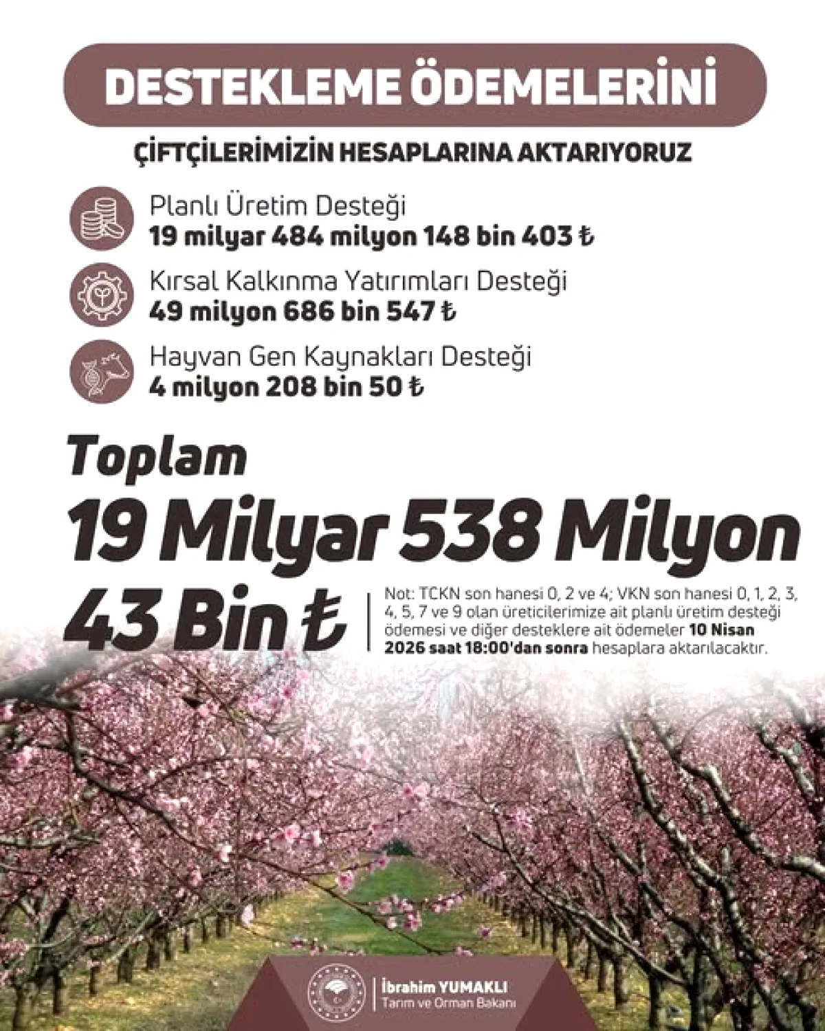 İstanbul'da Kahverengi Kokarca İstilasına Karşı Biyoteknik Mücadele İstanbul'da Kahverengi Kokarca İstilasına Karşı Biyoteknik Mücadele