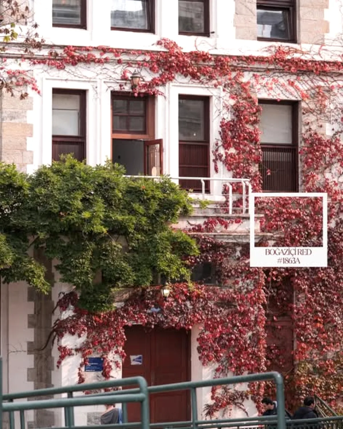 Boğaziçi'nde Tarihi Org Eşliğinde Sessiz Sinema Başyapıtı Boğaziçi'nde Tarihi Org Eşliğinde Sessiz Sinema Başyapıtı