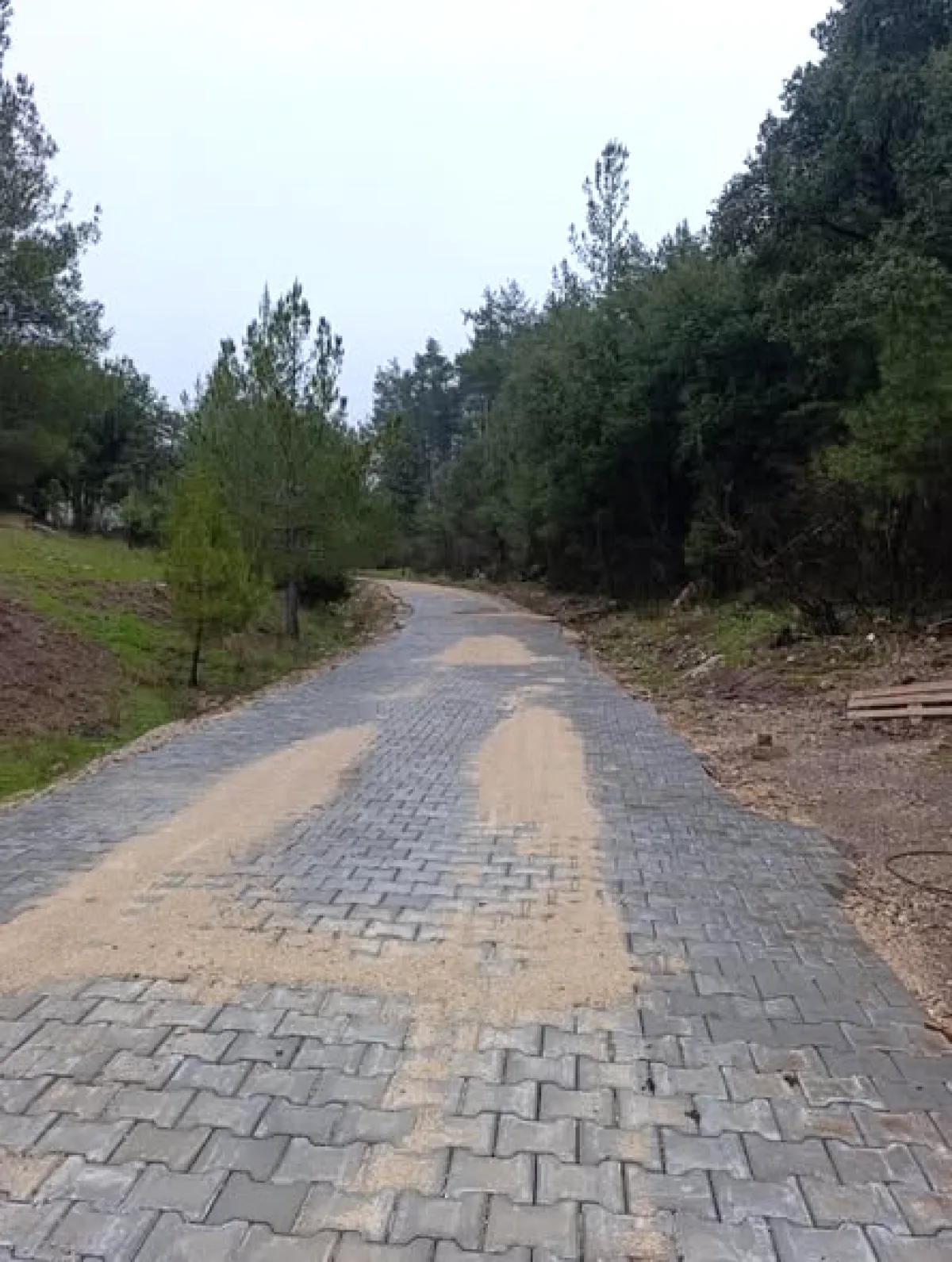 Akseki'de Ramazan'ın Bereketi: Yarpuz Mahallesi'nde Duygulu İftar Buluşması Akseki'de Ramazan'ın Bereketi: Yarpuz Mahallesi'nde Duygulu İftar Buluşması