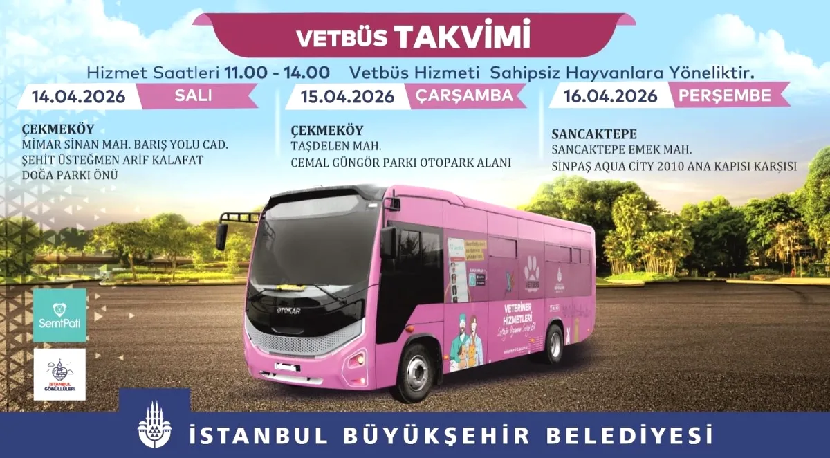İBB Veteriner Sahipsiz Hayvanlar İçin Çekmeköy ve Sancaktepe'de İBB Veteriner Sahipsiz Hayvanlar İçin Çekmeköy ve Sancaktepe'de