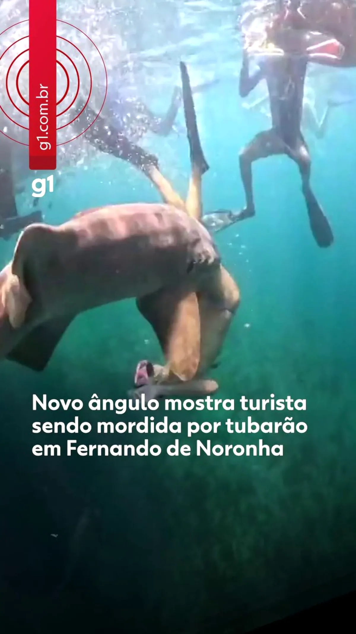 Brezilya'da Turist Köpek Balığı Saldırısına Uğradı Brezilya'da Turist Köpek Balığı Saldırısına Uğradı