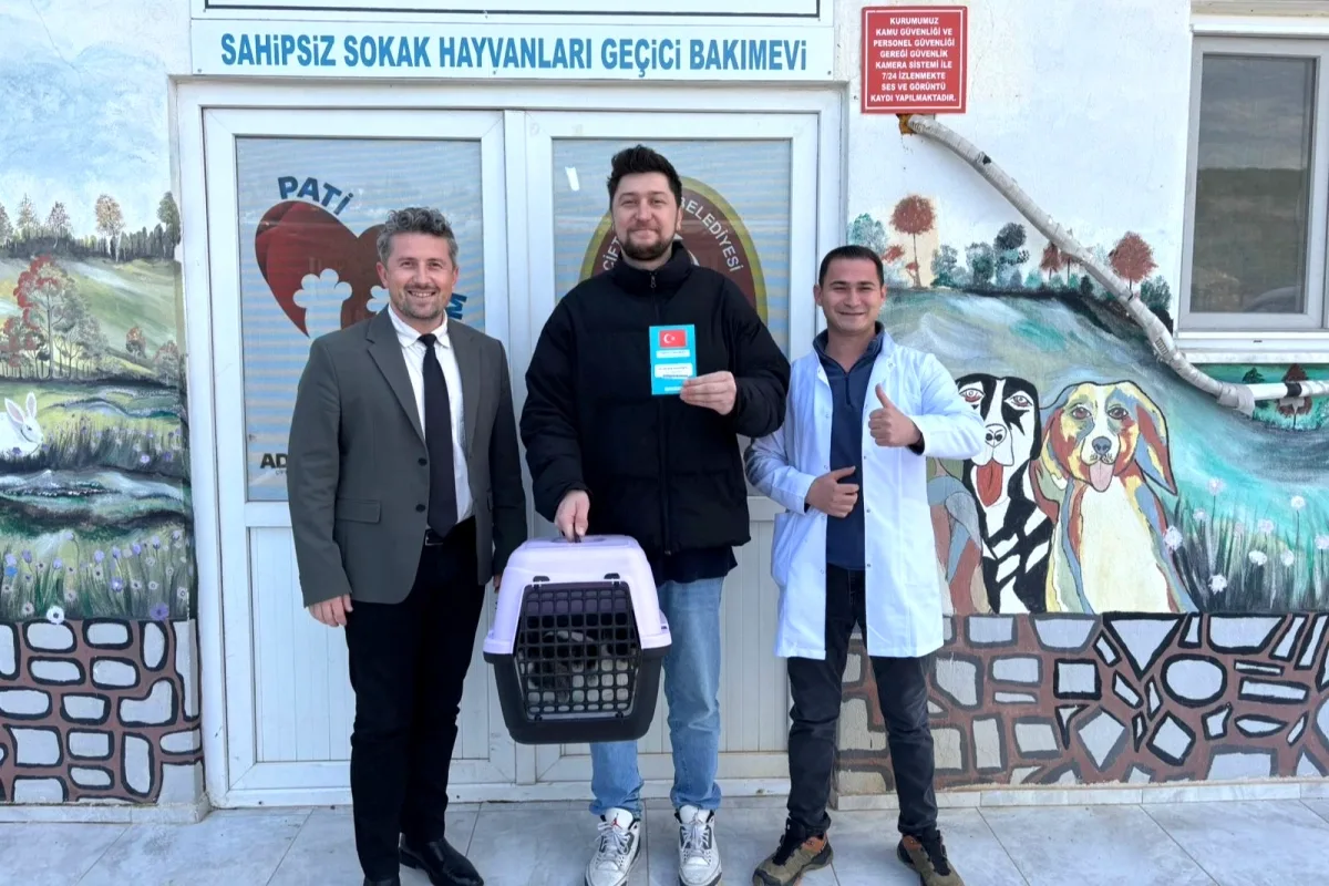 Şanslı'nın Kurtuluş Hikayesi: Karnından Yaralı Bulunan Kedi Yuva Buldu Şanslı'nın Kurtuluş Hikayesi: Karnından Yaralı Bulunan Kedi Yuva Buldu