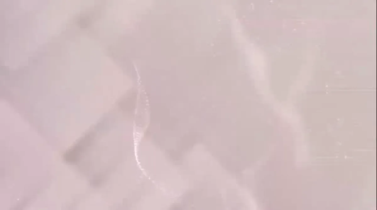 Serkan Bayram Bu Akşam Cem TV'de! Net Konuşalım'da Gündem Değerlendirmesi Serkan Bayram Bu Akşam Cem TV'de! Net Konuşalım'da Gündem Değerlendirmesi